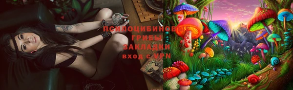 амфетамин Алексин