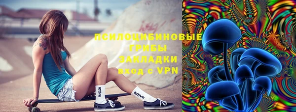 МДПВ Алексеевка