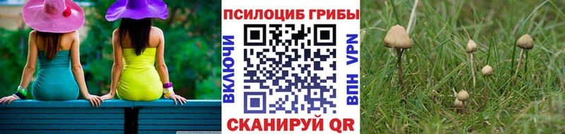 Псилоцибиновые грибы ЛСД  Заволжск 